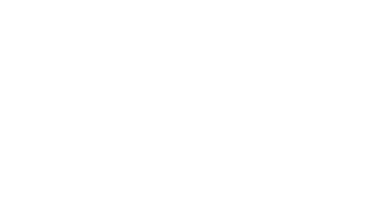 Ferda Bilgi Teknolojileri Limited Şirketi